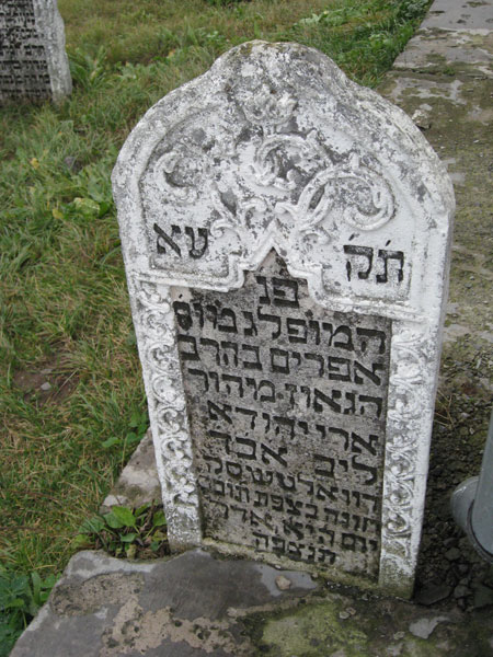 Menachem Ginosar