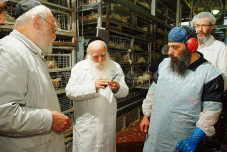 ישראל ברדוגו